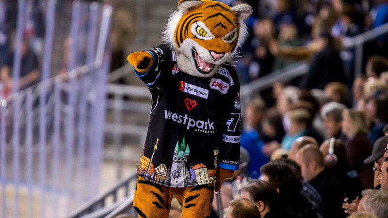 Die Straubing Tigers dürfen mit ihrem Maskottchen Tigo ab Sonntag wieder Zuschauer im Eisstadion am Pulverturm begrüßen.