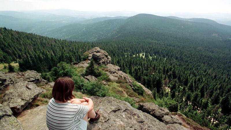 Rund um den Großen und Kleinen Arber sind nun über 400 Hektar Staatswald als Naturwald geschützt.