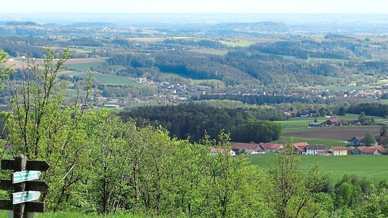 Den Frühlingsblick auf das Donautal hat Edmund Speiseder vom Pilgramsberg aus schweifen lassen. Der Blick geht zum Bogenberg und darüber hinaus weit in den Gäuboden.