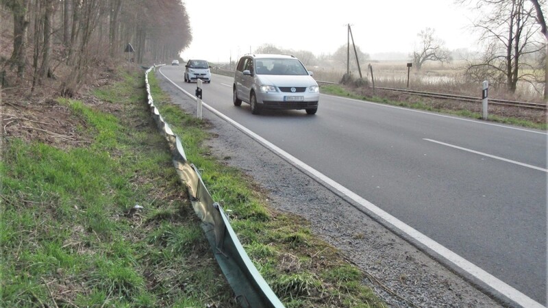 Der Deggendorfer BN bittet Autofahrer, in den nächsten Wochen im Bereich der Krötenzäune wie hier bei Seebach vorsichtiger zu fahren.