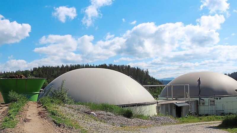 Vom Beschicker wandert das organische Material direkt in die Biogasanlage: Links der Fermenter, rechts der Nachgärer. Das Gas sammelt sich in den Kuppeln.