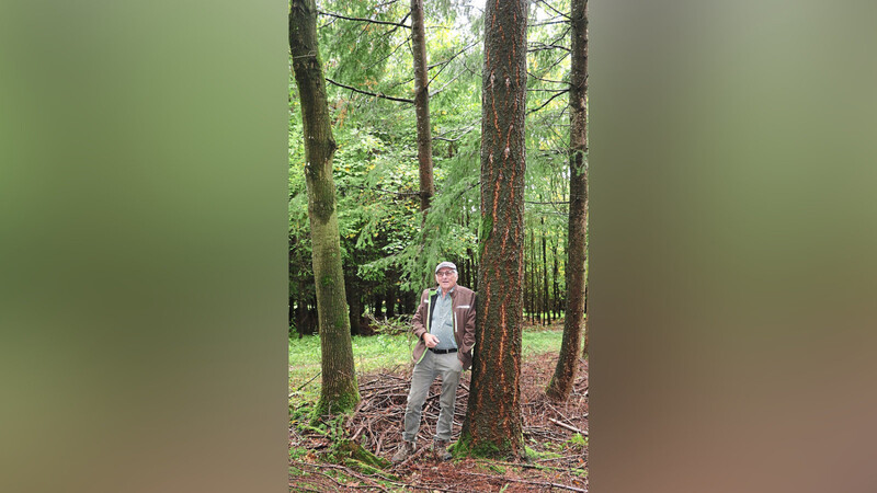 Johann Karl zwischen zwei Bäumen, die er bereits in den 70er-Jahren gepflanzt hat. Schon damals suchte er Alternativen zu einer Monokultur aus Fichten. Heute setzt er auf einen Mischwald aus Laub- und Nadelbäumen.  Foto: ale