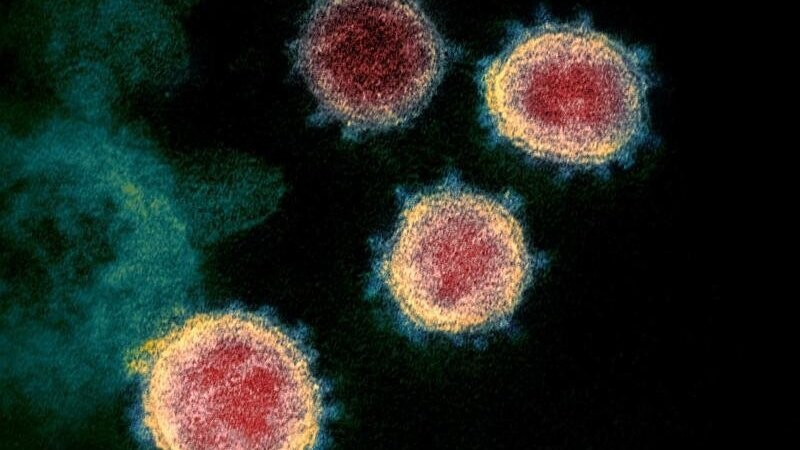 Über das Coronavirus geben Behörden wie das Robert-Koch-Institut (RKI) derzeit eine Vielzahl unterschiedlicher Zahlen heraus. (Symbolbild)