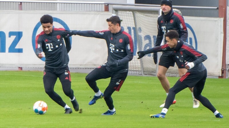 Die Münchner Spieler (v.l.) Malik Tillman, Robert Lewandowski, Thomas Müller und Jamal Musiala spielen im Training.