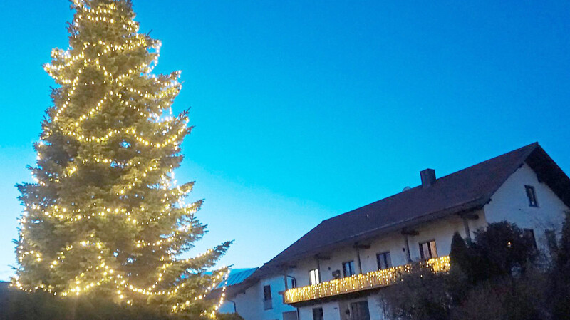 Der höchste Baum im Dorf steht bei Familie Lang in der Bachstraße. Hilfe beim Schmücken bekam Hausherr Josef Lang von seinem Sohn.