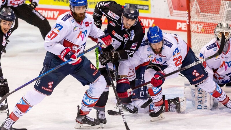 Sowohl die Straubing Tiger (in blau) als auch die Adler Mannheim haben fristgerecht ihre Lizenzunterlagen bei der Deutschen Eishockeyliga (DEL) eingereicht.