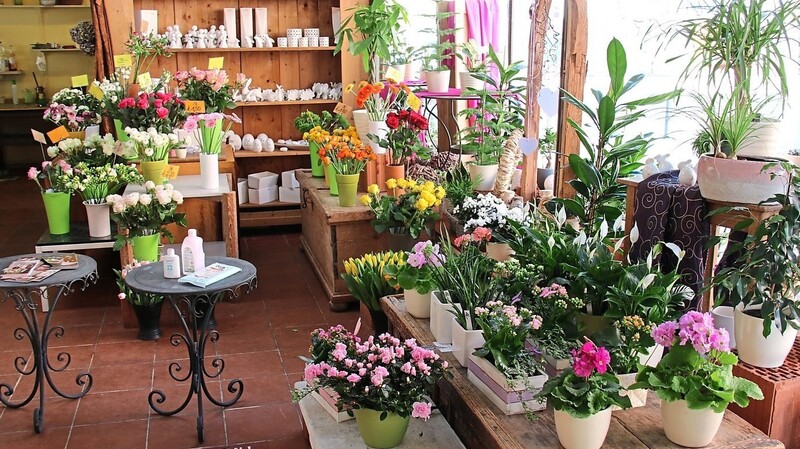 Bei Blumen Bichlmeier werden die Frühlingsblumen für die Kunden optisch sehr ansprechend präsentiert.