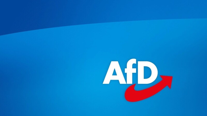 Die Jugendorganisation der AfD wird vom Verfassungsschutz inzwischen als gesichert rechtsextremistische Bestrebung beobachtet. (Archiv)