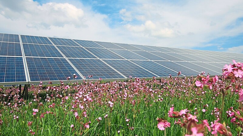 Solaranlagen dürfen am Rande des künftigen Landschaftsschutzgebietes Salzdorfer Tal errichtet werden.