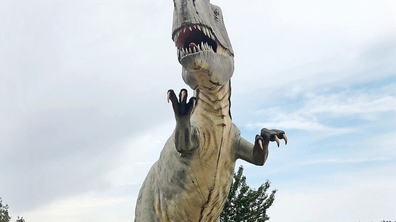 Im Jahr 2019 ging es nach Eichstätt in den Fossiliensteinbruch - heuer werden Mini-Dinos im Kreativworkshop gebaut.