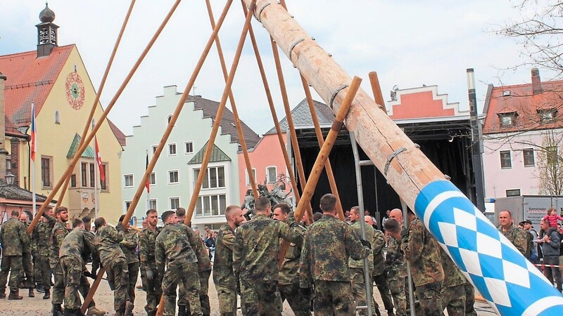 In Cham übernehmen traditionell die Soldaten das Maibaumaufstellen.  Fotos: