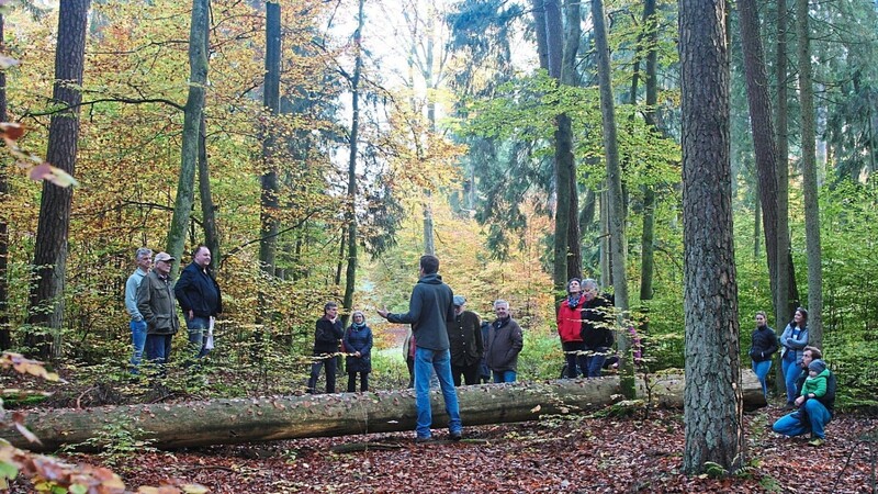 Ulrich Heindl (mitte) erläuterte den Teilnehmern des Grünen-Waldspaziergangs das Spannungsdreieck Ökologie-Ökonomie-Erholungsfunktion und stellte mit dem Naturwaldreservat Damm, das seit 27 Jahren nicht mehr bewirtschaftet wird, den Urwald von Morgen vor.