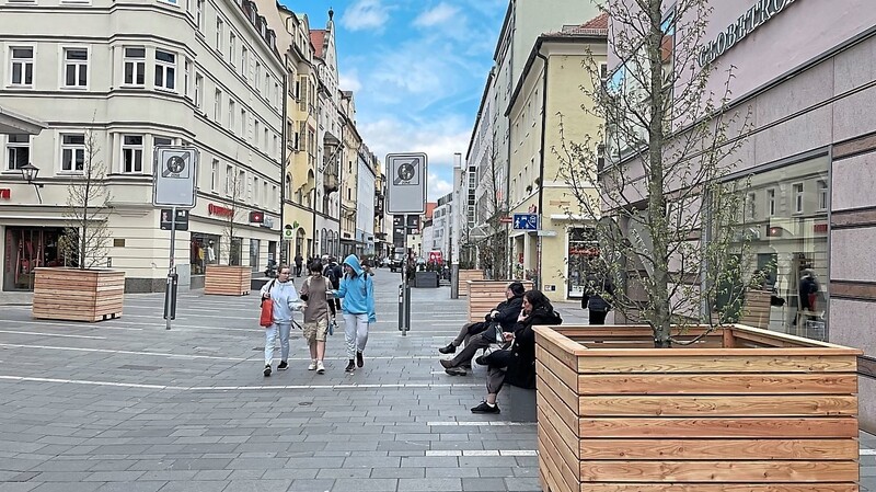In der Maxstraße stehen seit dieser Woche 19 Säulenhainbuchen. Die Bäume sollen als grüne Infrastruktur die Altstadt aufwerten.