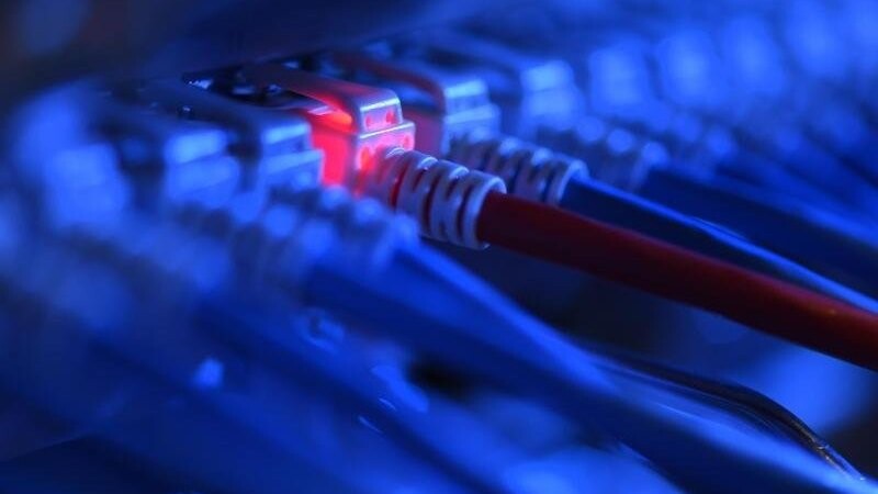 Ein Netzwerk-Kabelstecker in der Netzwerkzentrale einer Firma. Die Bundesregierung will Unternehmen besser vor Cyberattacken schützen.