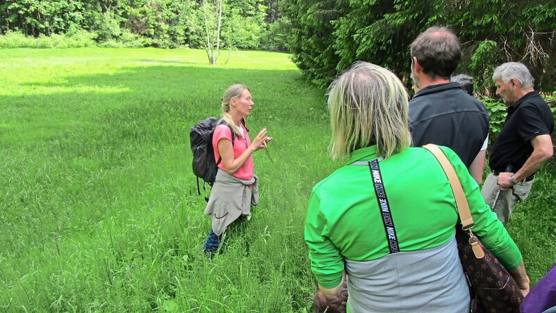 Stefanie Arneth (l.) erläuterte der Gruppe die Besonderheiten der Frohnreuter Bergwiese. Sie leitete zusammen mit Wolfgang Diewald die Wanderung rund um Greising, zu der der Bund Naturschutz und die Botanische Arbeits- und Schutzgemeinschaft Bayerischer Wald eingeladen hatten.