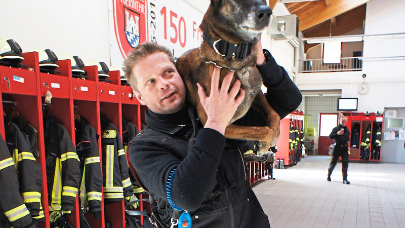 "Sie wird nicht gern getragen", sagt Tobias Eggerbauer und behält seine Hündin Chili dabei im Blick. Als Polizeihund muss sie das aber ab und zu über sich ergehen lassen.