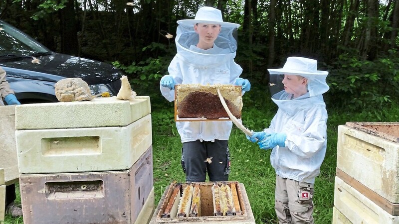 Die Jungimker bei der Arbeit mit den Bienen.