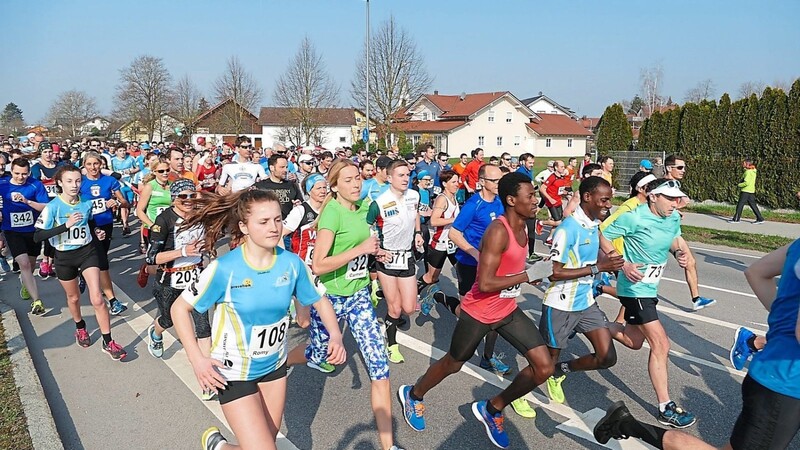 Mehr als 400 Teilnehmer gingen 2019 bei der Halbmarathon-Veranstaltung in Deggendorf an den Start.