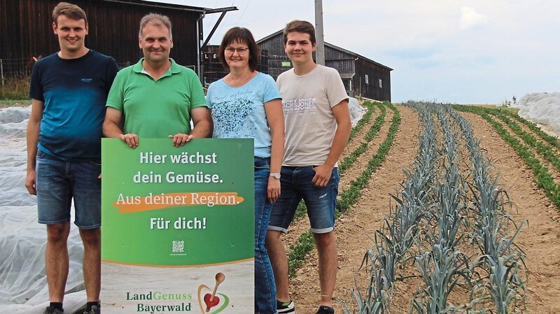 Bauen heuer im zweiten Jahr Gemüse an: Tobias, Johann, Martina und Johannes Stibich.
