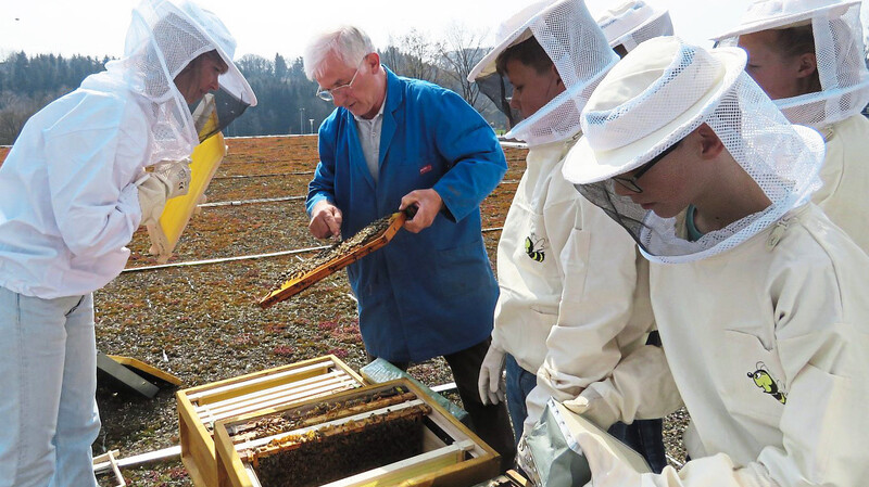 Auf dem Turnhallendach haben Realschüler im Wahlfach "Imkern" jetzt einen Bienenkasten platziert.