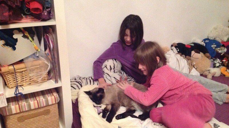 Auch die beiden Töchter von Anja Giebing freuen sich, dass Kater Felix wieder zu Hause ist. (Foto: privat)