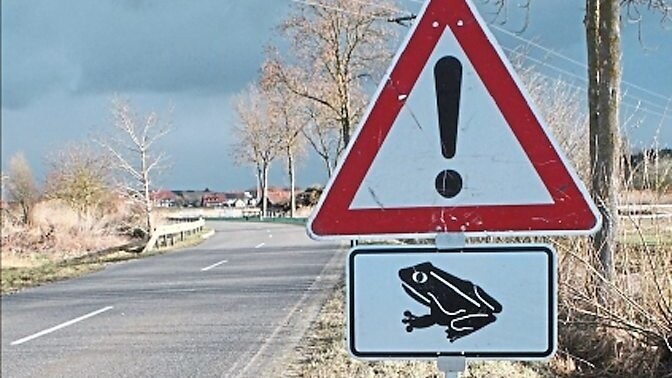 Dieses Schild hat im Frühjahr die Autofahrer bei Upfkofen auf die Kröten hingewiesen.