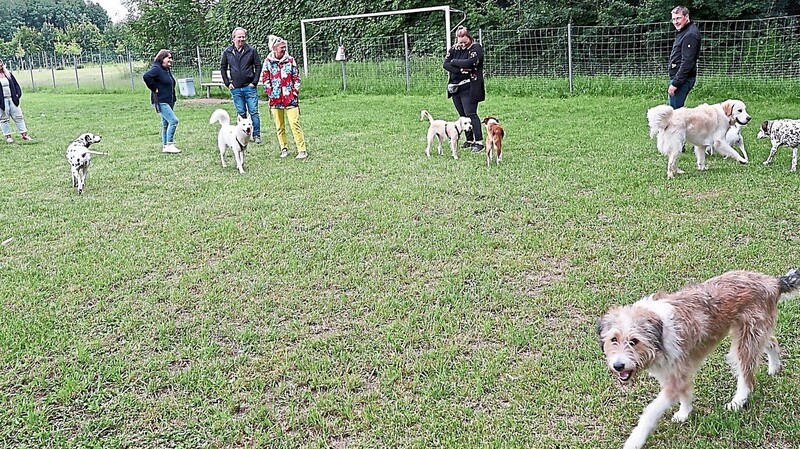 In Straubing gibt es auf der Gstütt-Insel eine Hundewiese. Im umzäunten Bereich können Hunde ohne Leine miteinander spielen.