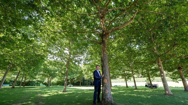 Bayerns Ministerpräsident Markus Söder entdeckt den Wald als Klimaschützer.