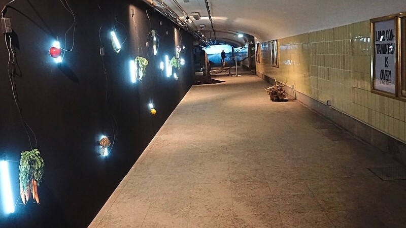 Eine magische Welt aus Kunst und Natur: Der Tunnel am Regensburger Hauptbahnhof wurde zur wohl spannendsten Galerie in Regensburg umfunktioniert.