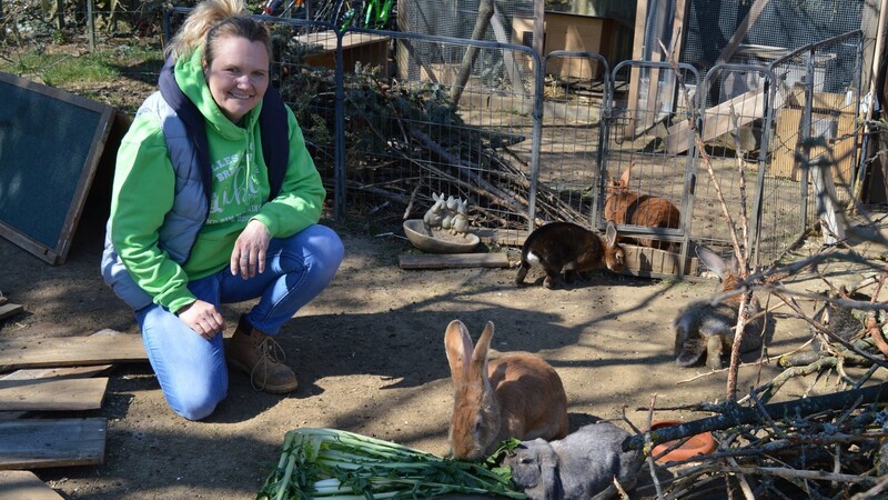 Fünf bis sechs Kisten Salat und Gemüse verputzen die 20 Kaninchen in Sabine Meisters Auffangstation täglich.