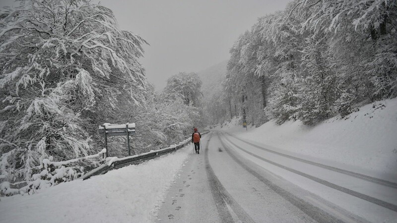 Spanien, Roncesvalles: Ein Mann wandert durch den Schnee auf dem Jakobsweg zwischen schneebedeckten Bäumen.