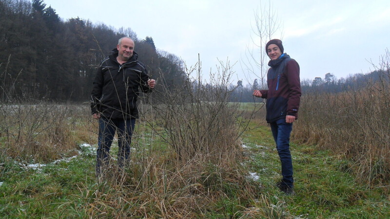 Dieter Wolf und sein Sohn Nico begutachten die Aronia-Sträucher auf ihrer Plantage bei Steinach.  Foto: Claudia Stecher