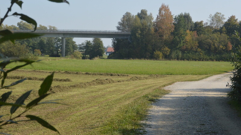 Ab Eiselsdorf bis Grabmühle wird der Radweg entlang dem Wald und entfernt von der Vils geführt.