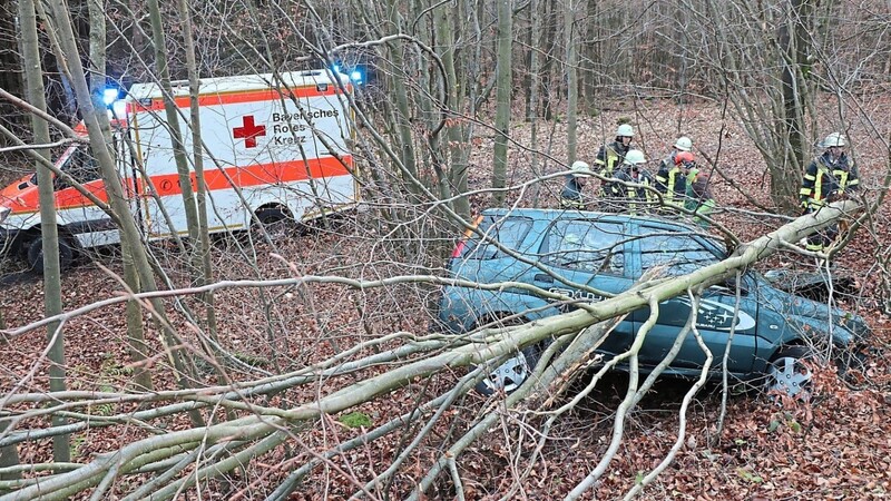 Das Auto blieb mit Totalschaden im Wald liegen. Das BRK brachte den Verletzten ins Krankenhaus.