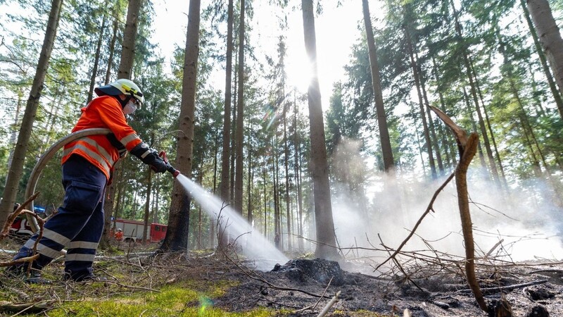 Nahe Haarbach hat am Dienstag ein Waldstück gebrannt (Symbolbild).