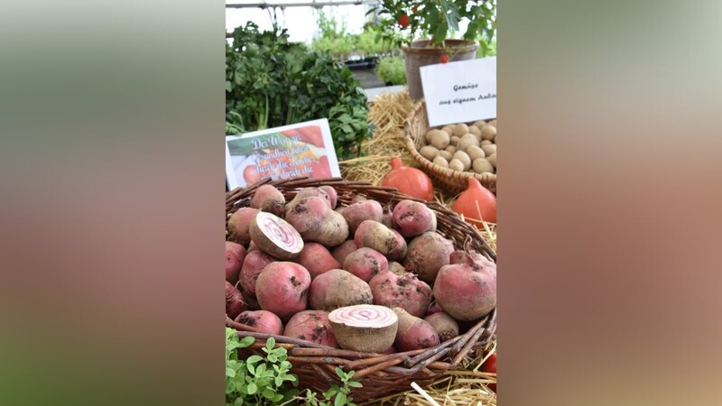 Regional und saisonal: Gemüse aller Art von der Biogärtnerei Justland.