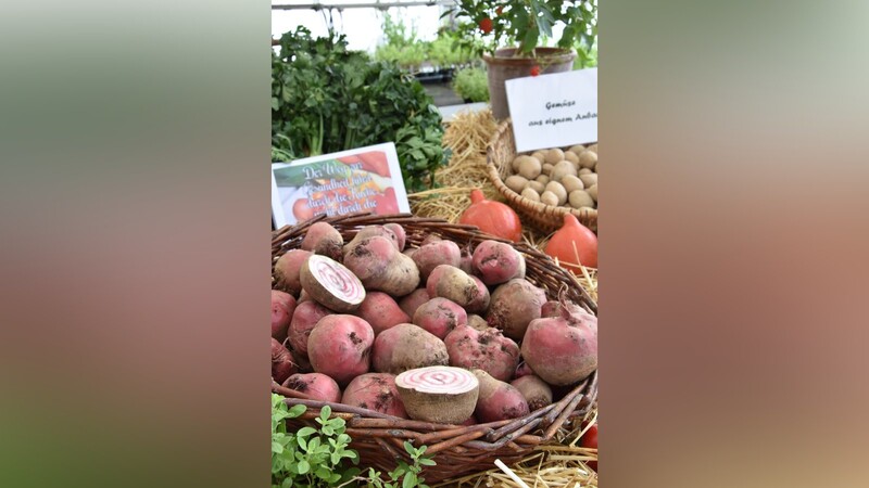 Regional und saisonal: Gemüse aller Art von der Biogärtnerei Justland.