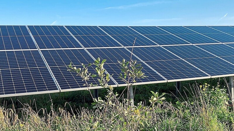 Auch über Freiflächen-Photovoltaik wird in den kommenden Wochen und Monaten in der Stadt Cham diskutiert werden.