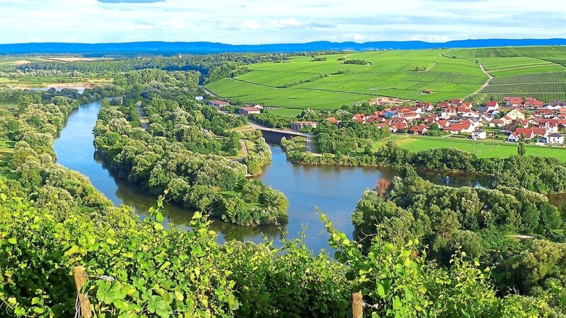 Die saftig grünen Hügel der fränkischen Weinschleife bieten ideale Bedingungen für die Trauben.