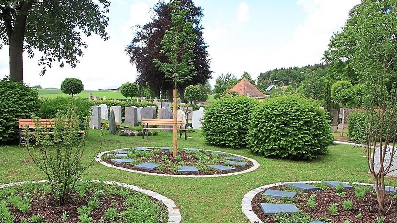 Zwei Bäume am Windischbergerdorfer Friedhof stehen für eine Urnenbeisetzung bereit, ein Rondell für eine Ruhegemeinschaft.