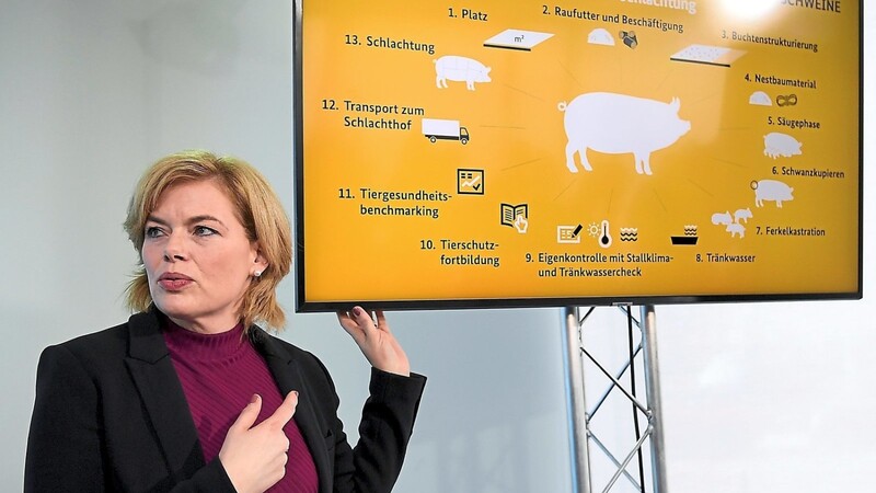 Bundeslandwirtschaftsministerin Julia Klöckner wünscht sich höhere Standards bei der Aufzucht und Mast von Schweinen.