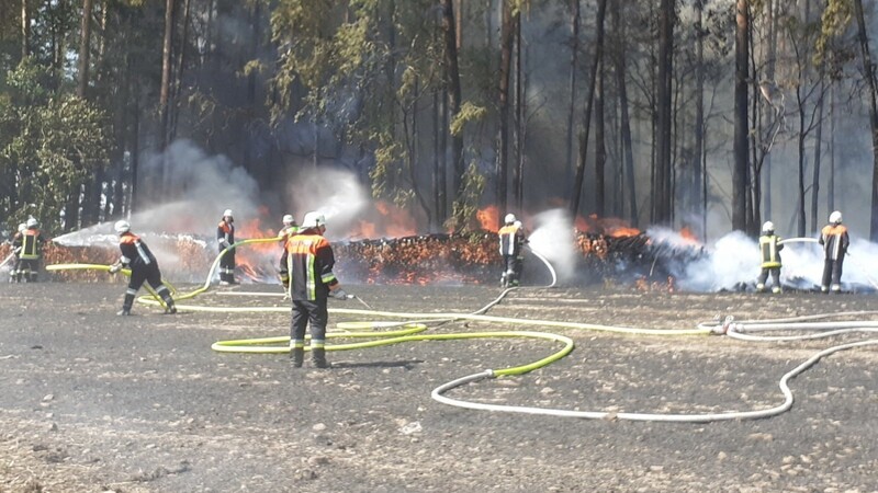 Im Sommer 2020 hatte sich bei Weiherhammer im Landkreis Neustadt/Waldnaab ein größerer Feldbrand entwickelt, der auf den angrenzenden Wald übergriff.