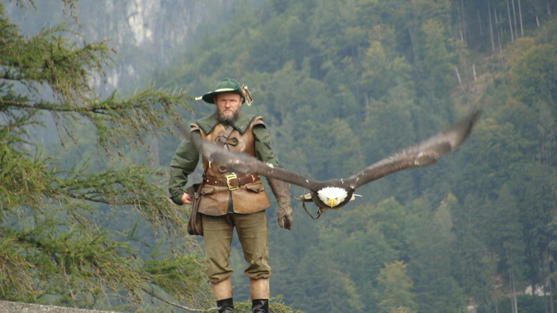 Wanderfalke, Habicht, Uhu - Der Falkner kennt jede Vogelart auswendig.