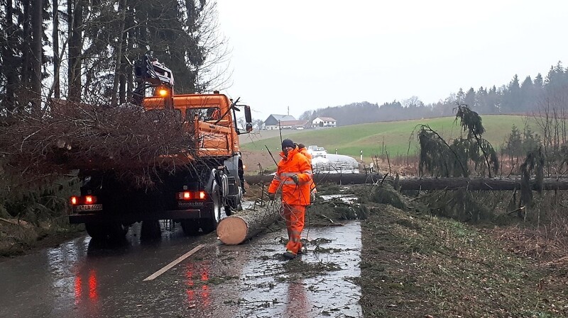 Bauhofmitarbeiter entfernen bei Götzdorf einen umgestürzten Baum von der Fahrbahn.