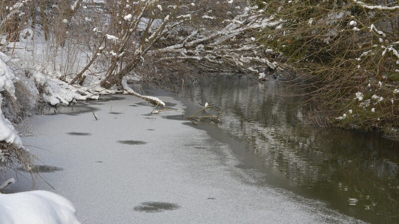 Langsam schließt der strenge Frost die Eisdecke der Gewässer.