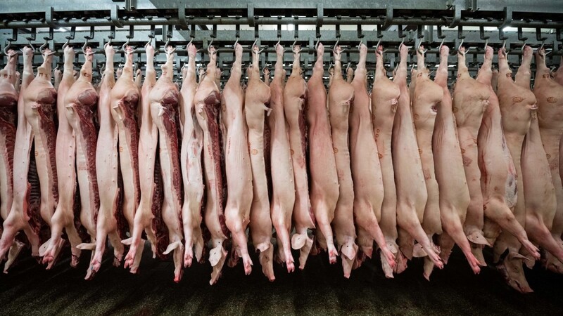 Verbraucher sollen bereit sein, mehr Geld für Fleisch zu bezahlen - wenn in Tierschutz investiert wird und etwas bei den Bauern ankommt.
