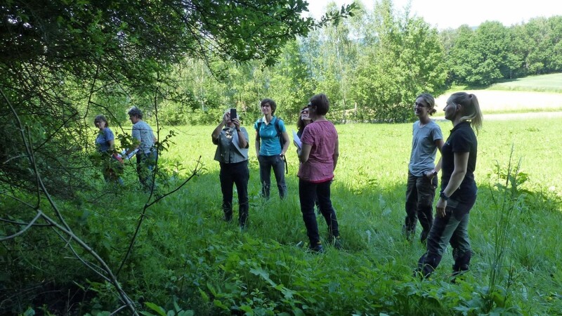Mit Revierförsterin Johanna Gierl und Praktikantin Lea Holzer erkundeten die Frauen den Waldrand.