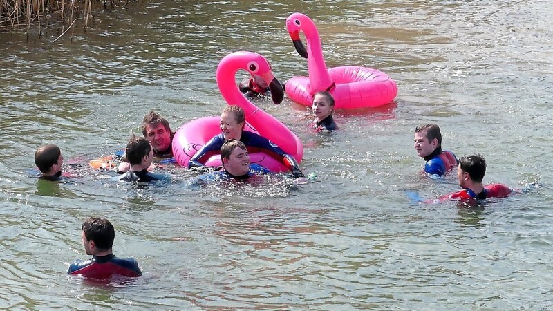 Die Schwimmer beim Karfreitagsschwimmen in ihren Neoprenanzügen zusammen mit den rosa Flamingos.