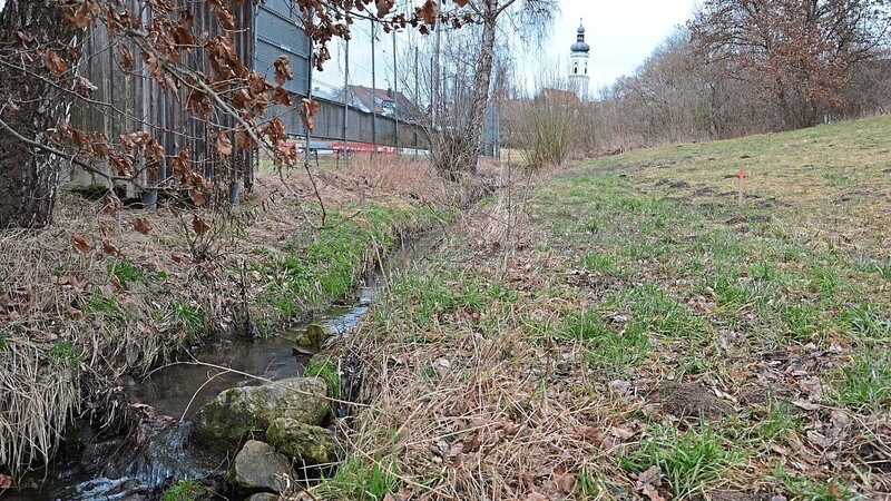 Der Uferbereich des Wangenbachs in Walkertshofen soll im Rahmen einer Fördermaßnahme des Amts für Ländliche Entwicklung aufgeweitet werden, um damit Überflutungen des Fußballplatzes künftig zu verhindern.