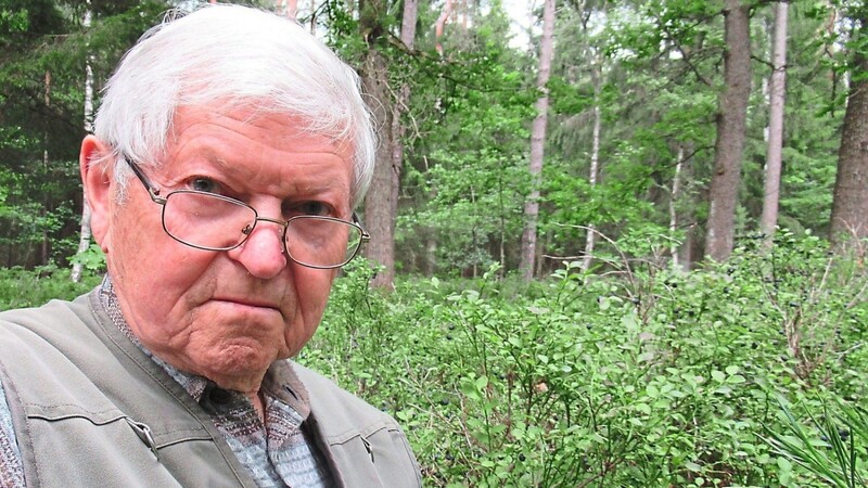 Seit 80 Jahren pflückt Dietrich Breuer leidenschaftlich gerne Blaubeeren im Wald.
